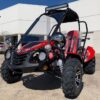 Trailmaster Ultra Blazer 200EX EFI Go-Kart, 168.9cc Engine, 4-Stroke Single Cylinder, Air Cooled, Light Bar, Windshield, Fuel Injected