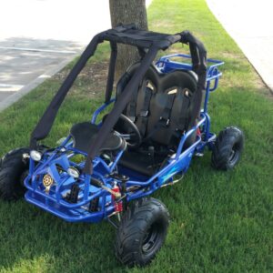 RPS TK110-GK2 Go-Kart, 110cc Engine, Fully Automatic with Reverse, 4-Stroke, Single Cylinder, Air Cooled