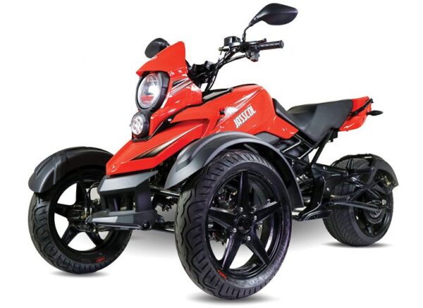 Amigo Tryke 200 Trike, 4-Stroke Air-Cooled Engine, Automatic with Reverse & 14” All-Terrain Tires