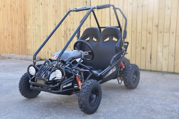 TrailMaster Mini XRX+ Go-Kart Buggy, High Back Seats, Adjustable for Younger Riders, Throttle Limiter, Remote Kill, No Reverse