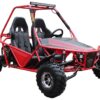 Vitacci Batman 200CC Deluxe Go Kart, 177.3cc Engine, Fully Automatic with Reverse, 4-Stroke Single Cylinder, Oil Cooled